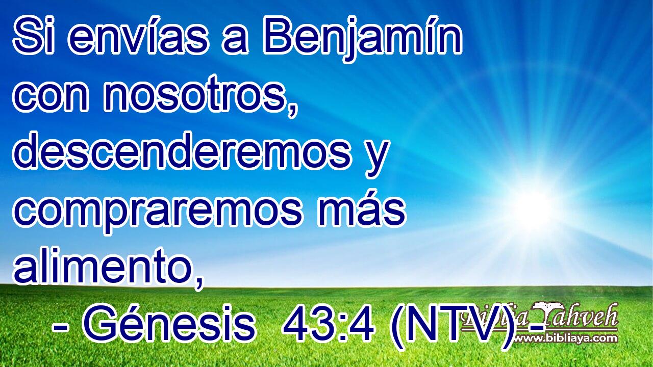 Si envías a Benjamín con nosotros, descenderemos y compraremos más alimento,