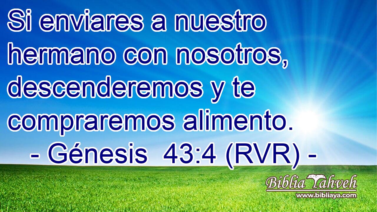 Si enviares a nuestro hermano con nosotros, descenderemos y te compraremos alimento.