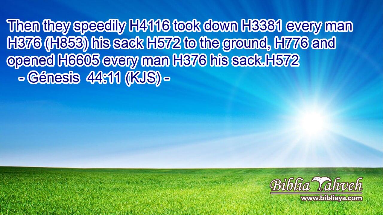 Then they speedily H4116 took down H3381 every man H376 (H853) his sack H572 to the ground, H776 and opened H6605 every man H376 his sack.H572