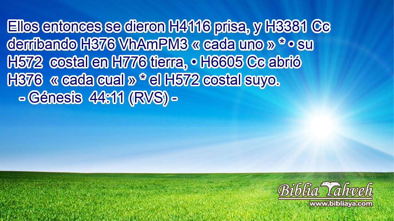 Ellos entonces se dieron H4116 prisa, y H3381 Cc derribando H376 VhAmPM3 « cada uno » * • su H572  costal en H776 tierra, • H6605 Cc abrió H376  « cada cual » * el H572 costal suyo. 