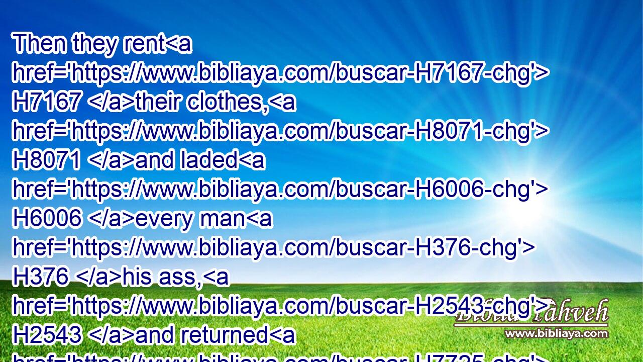Then they rent H7167 their clothes, H8071 and laded H6006 every man H376 his ass, H2543 and returned H7725 to the city.H5892