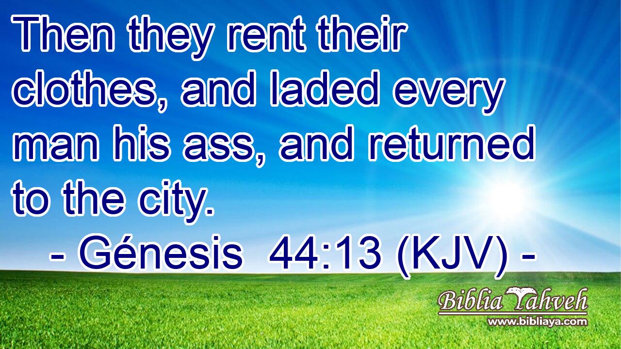 Then they rent their clothes, and laded every man his ass, and returned to the city.