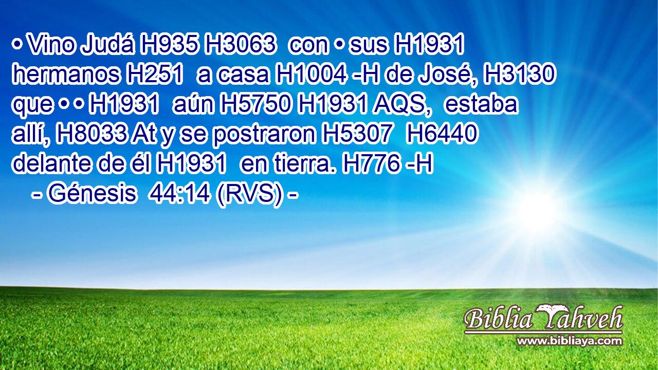 • Vino Judá H935 H3063  con • sus H1931  hermanos H251  a casa H1004 -H de José, H3130  que • • H1931  aún H5750 H1931 AQS,  estaba allí, H8033 At y se postraron H5307  H6440 delante de él H1931  en tierra. H776 -H 