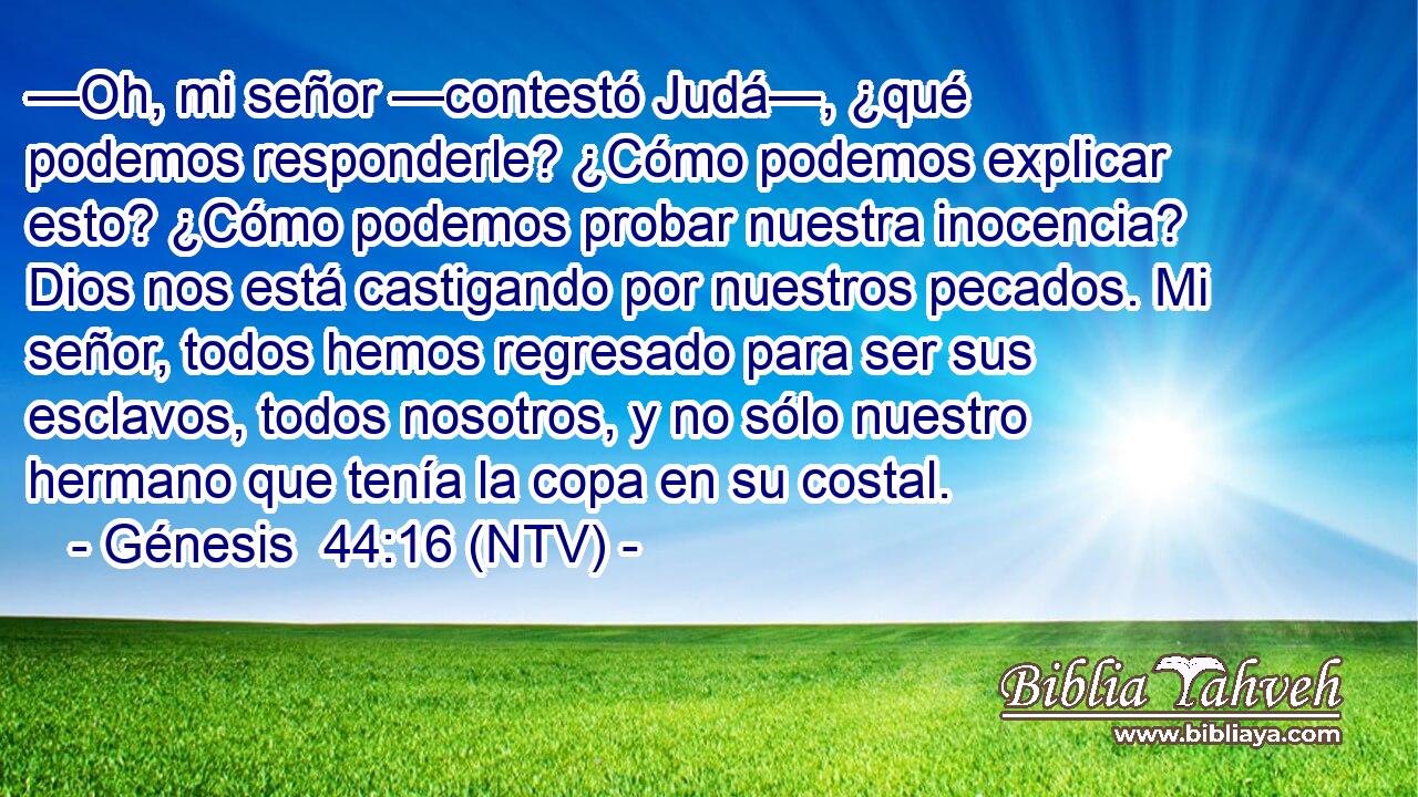 —Oh, mi señor —contestó Judá—, ¿qué podemos responderle? ¿Cómo podemos explicar esto? ¿Cómo podemos probar nuestra inocencia? Dios nos está castigando por nuestros pecados. Mi señor, todos hemos regresado para ser sus esclavos, todos nosotros, y no sólo nuestro hermano que tenía la copa en su costal.
