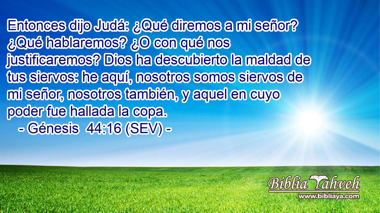 Entonces dijo Judá: ¿Qué diremos a mi señor? ¿Qué hablaremos? ¿O con qué nos justificaremos? Dios ha descubierto la maldad de tus siervos: he aquí, nosotros somos siervos de mi señor, nosotros también, y aquel en cuyo poder fue hallada la copa.
