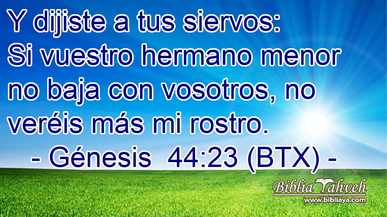 Y dijiste a tus siervos: Si vuestro hermano menor no baja con vosotros, no veréis más mi rostro.
