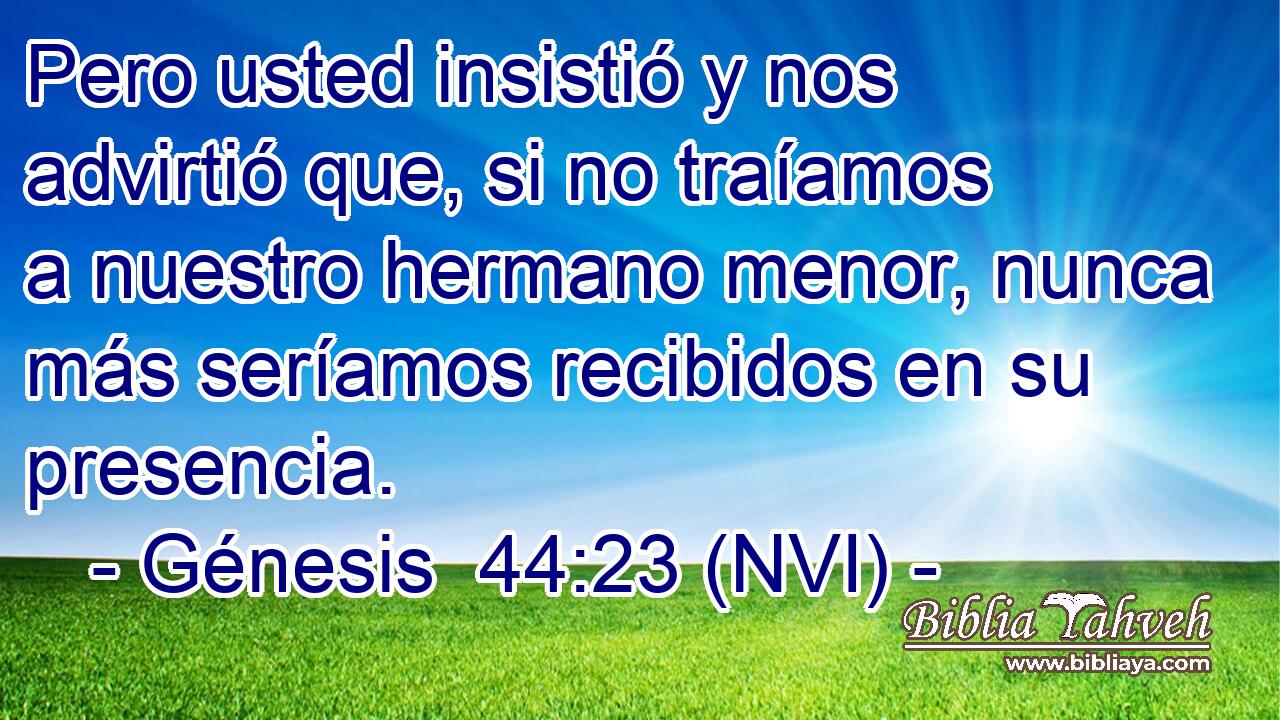  Pero usted insistió y nos advirtió que, si no traíamos a nuestro hermano menor, nunca más seríamos recibidos en su presencia. 