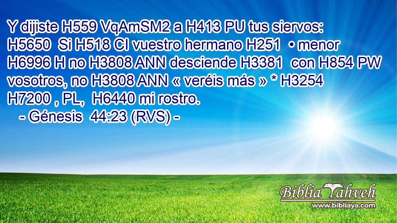 Y dijiste H559 VqAmSM2 a H413 PU tus siervos: H5650  Si H518 CI vuestro hermano H251  • menor H6996 H no H3808 ANN desciende H3381  con H854 PW vosotros, no H3808 ANN « veréis más » * H3254 H7200 , PL,  H6440 mi rostro. 