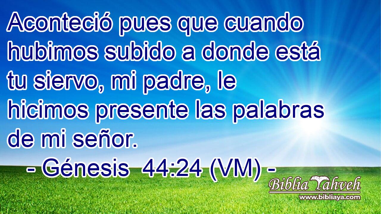  Aconteció pues que cuando hubimos subido a donde está tu siervo, mi padre, le hicimos presente las palabras de mi señor. 