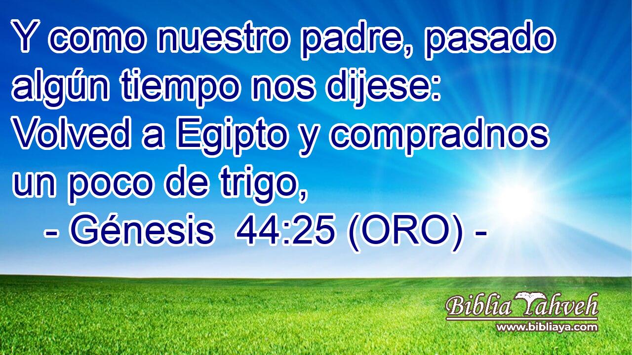  Y como nuestro padre, pasado algún tiempo nos dijese: Volved a Egipto y compradnos un poco de trigo, 