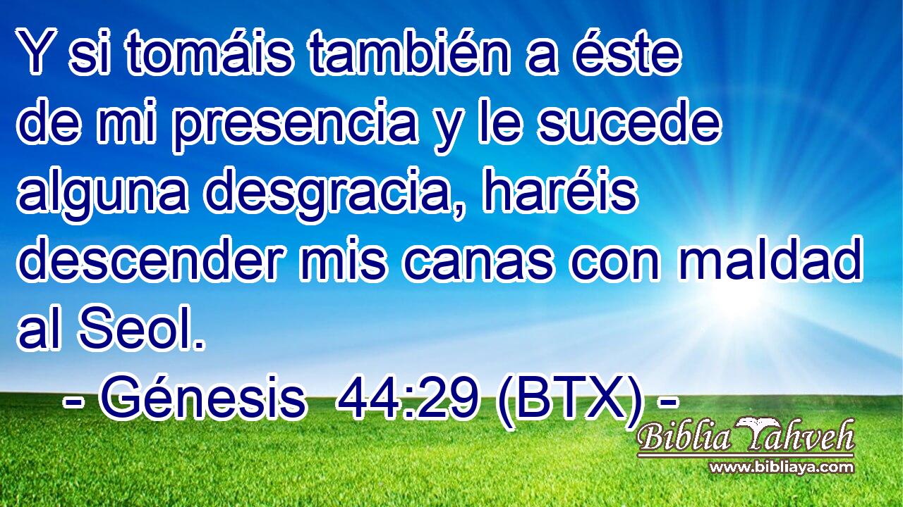 Y si tomáis también a éste de mi presencia y le sucede alguna desgracia, haréis descender mis canas con maldad al Seol.