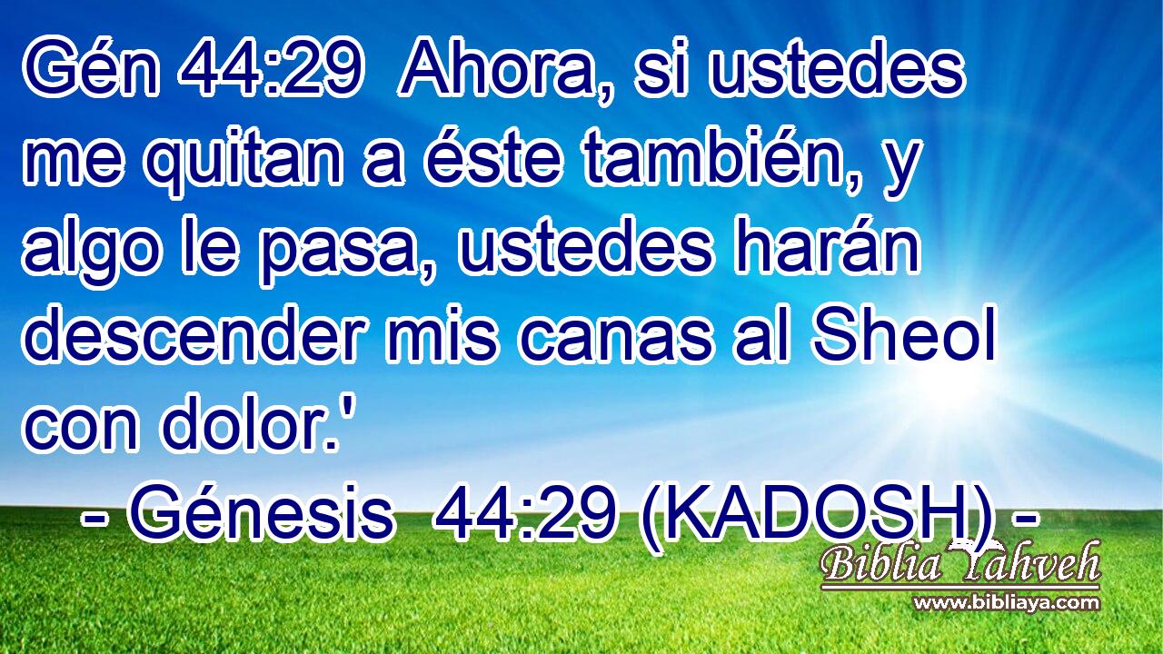  Ahora, si ustedes me quitan a éste también, y algo le pasa, ustedes harán descender mis canas al Sheol con dolor.' 
