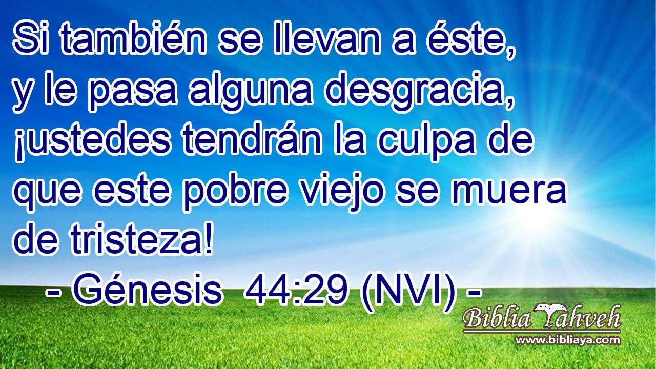  Si también se llevan a éste, y le pasa alguna desgracia, ¡ustedes tendrán la culpa de que este pobre viejo se muera de tristeza! 