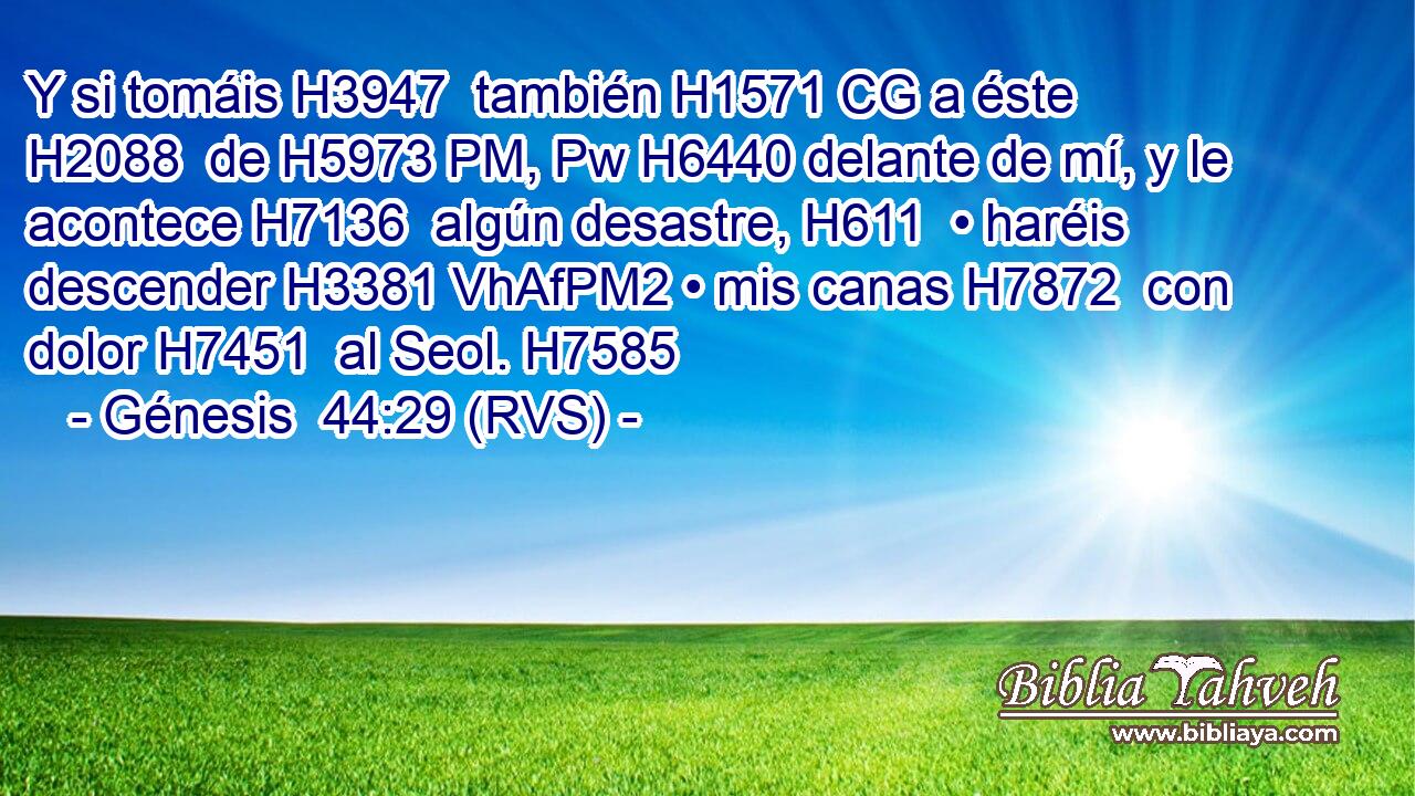Y si tomáis H3947  también H1571 CG a éste H2088  de H5973 PM, Pw H6440 delante de mí, y le acontece H7136  algún desastre, H611  • haréis descender H3381 VhAfPM2 • mis canas H7872  con dolor H7451  al Seol. H7585  