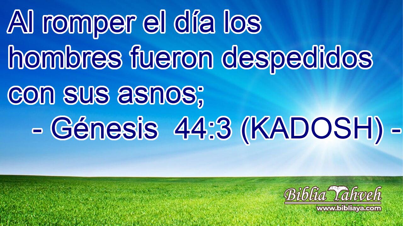  Al romper el día los hombres fueron despedidos con sus asnos; 