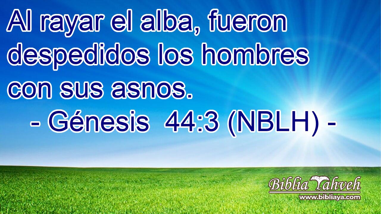  Al rayar el alba, fueron despedidos los hombres con sus asnos. 