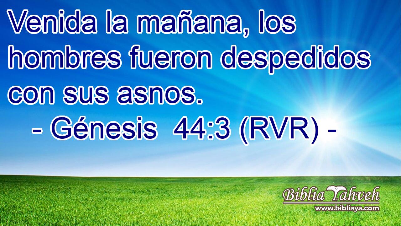 Venida la mañana, los hombres fueron despedidos con sus asnos.