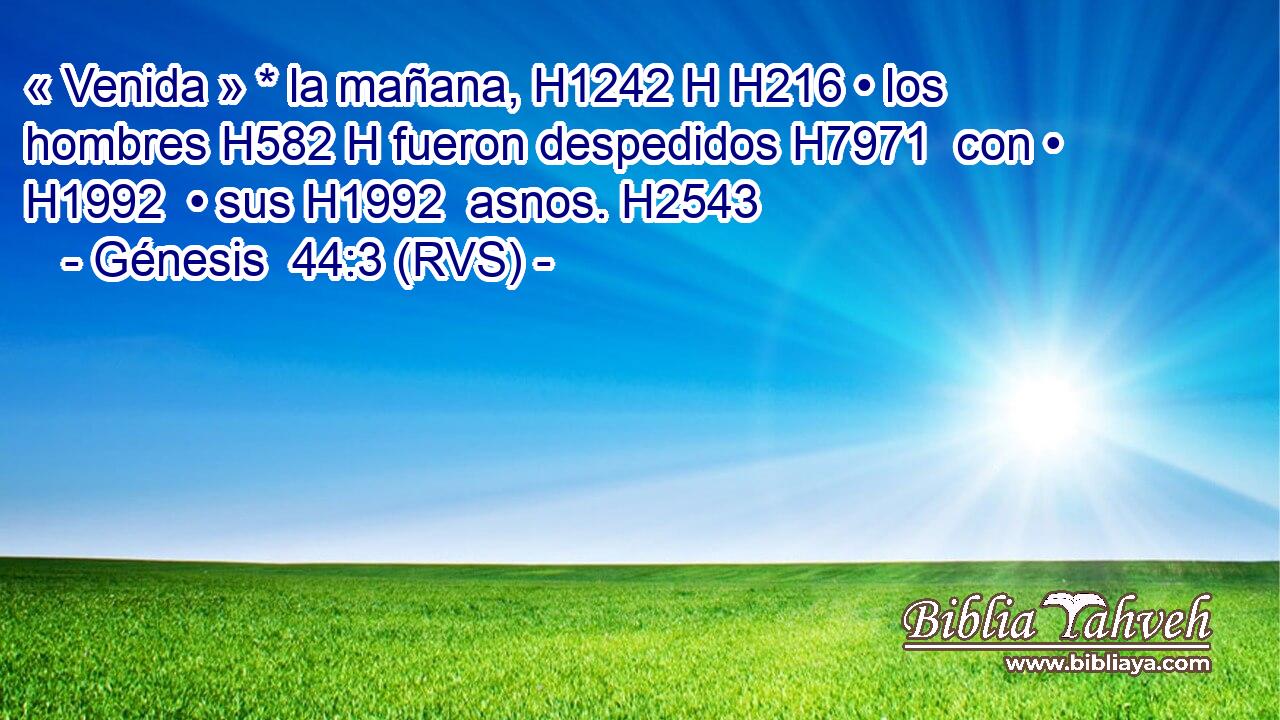 « Venida » * la mañana, H1242 H H216 • los hombres H582 H fueron despedidos H7971  con • H1992  • sus H1992  asnos. H2543  