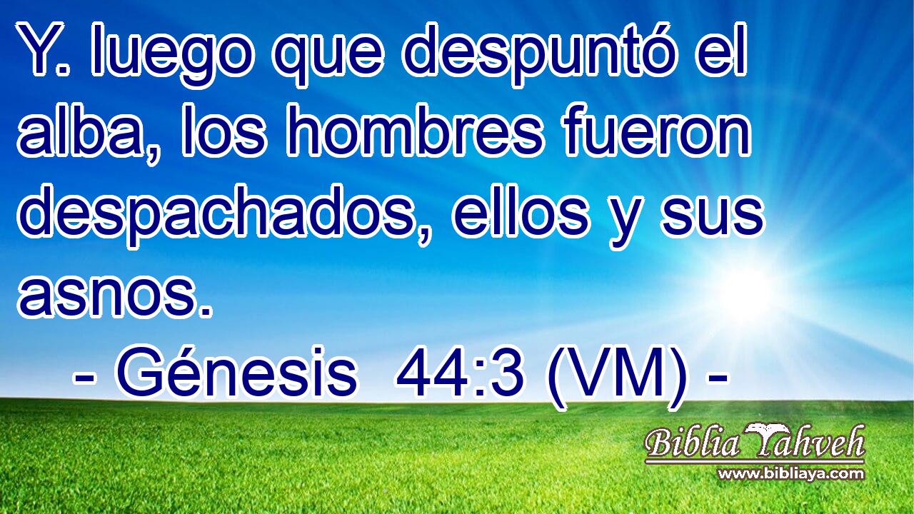  Y. luego que despuntó el alba, los hombres fueron despachados, ellos y sus asnos. 