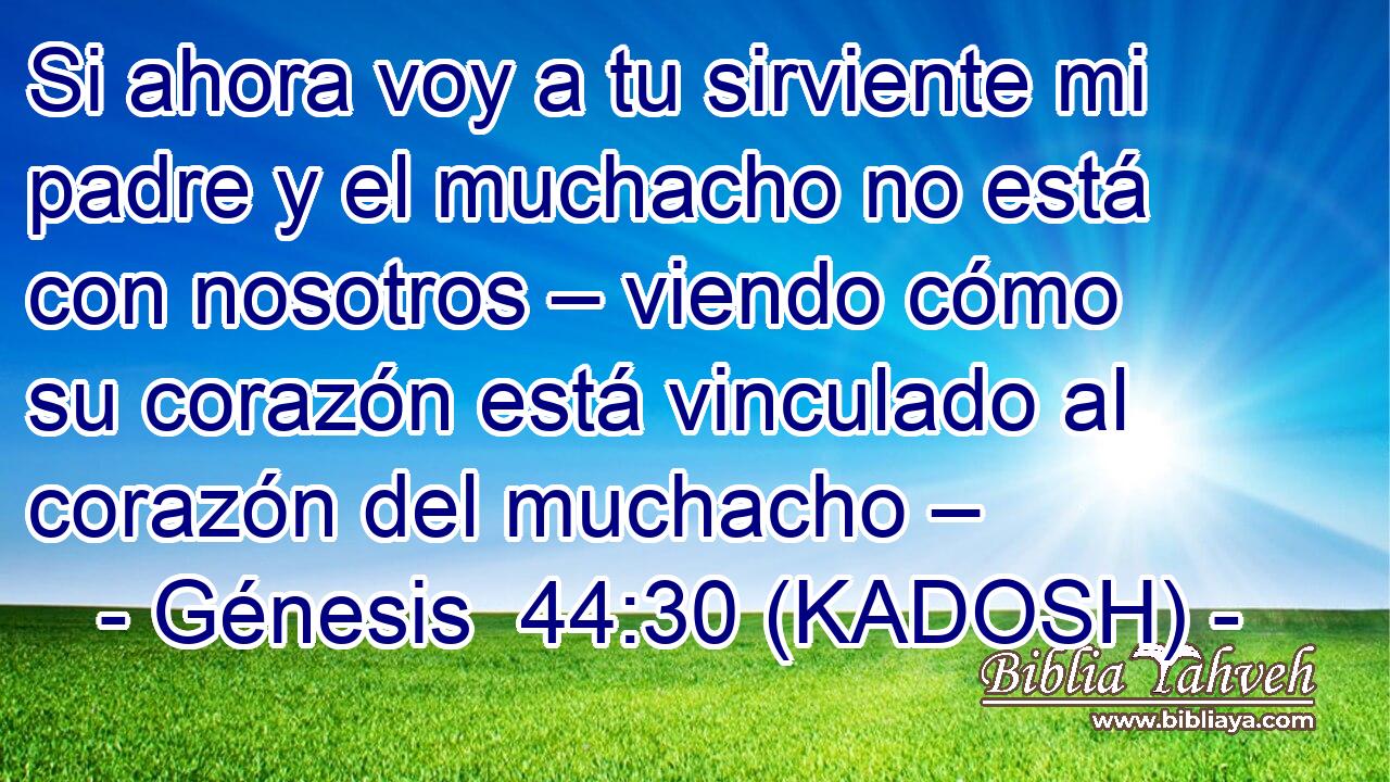  Si ahora voy a tu sirviente mi padre y el muchacho no está con nosotros – viendo cómo su corazón está vinculado al corazón del muchacho – 