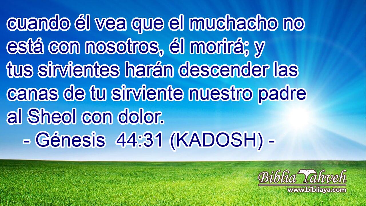  cuando él vea que el muchacho no está con nosotros, él morirá; y tus sirvientes harán descender las canas de tu sirviente nuestro padre al Sheol con dolor. 