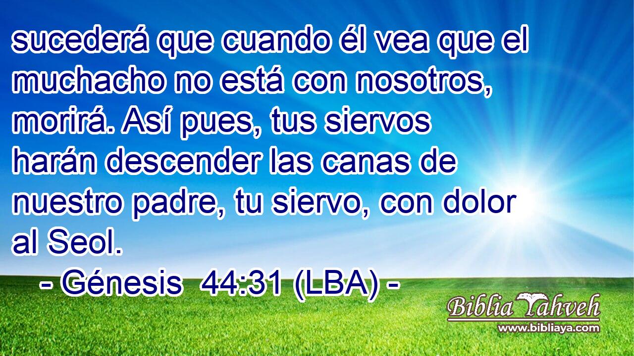 sucederá que cuando él vea que el muchacho no está con nosotros, morirá. Así pues, tus siervos harán descender las canas de nuestro padre, tu siervo, con dolor al Seol.