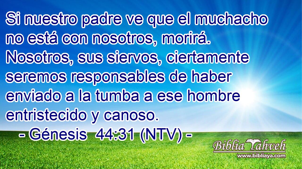 Si nuestro padre ve que el muchacho no está con nosotros, morirá. Nosotros, sus siervos, ciertamente seremos responsables de haber enviado a la tumba a ese hombre entristecido y canoso.