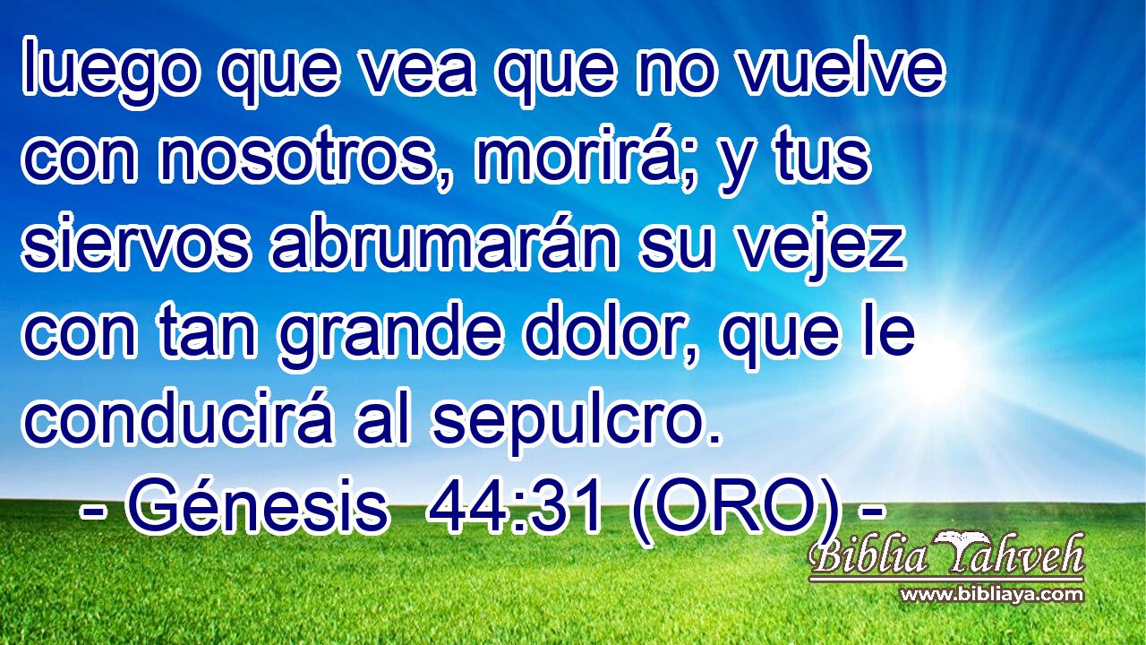  luego que vea que no vuelve con nosotros, morirá; y tus siervos abrumarán su vejez con tan grande dolor, que le conducirá al sepulcro. 