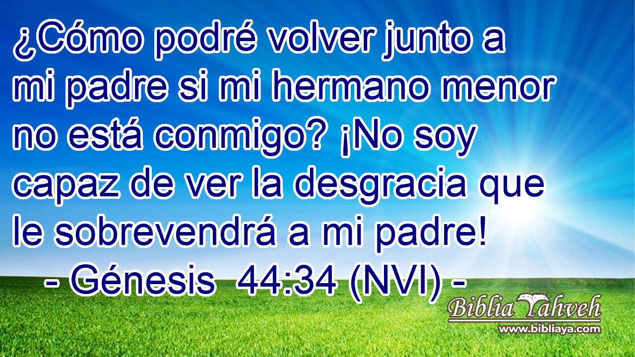  ¿Cómo podré volver junto a mi padre si mi hermano menor no está conmigo? ¡No soy capaz de ver la desgracia que le sobrevendrá a mi padre! 