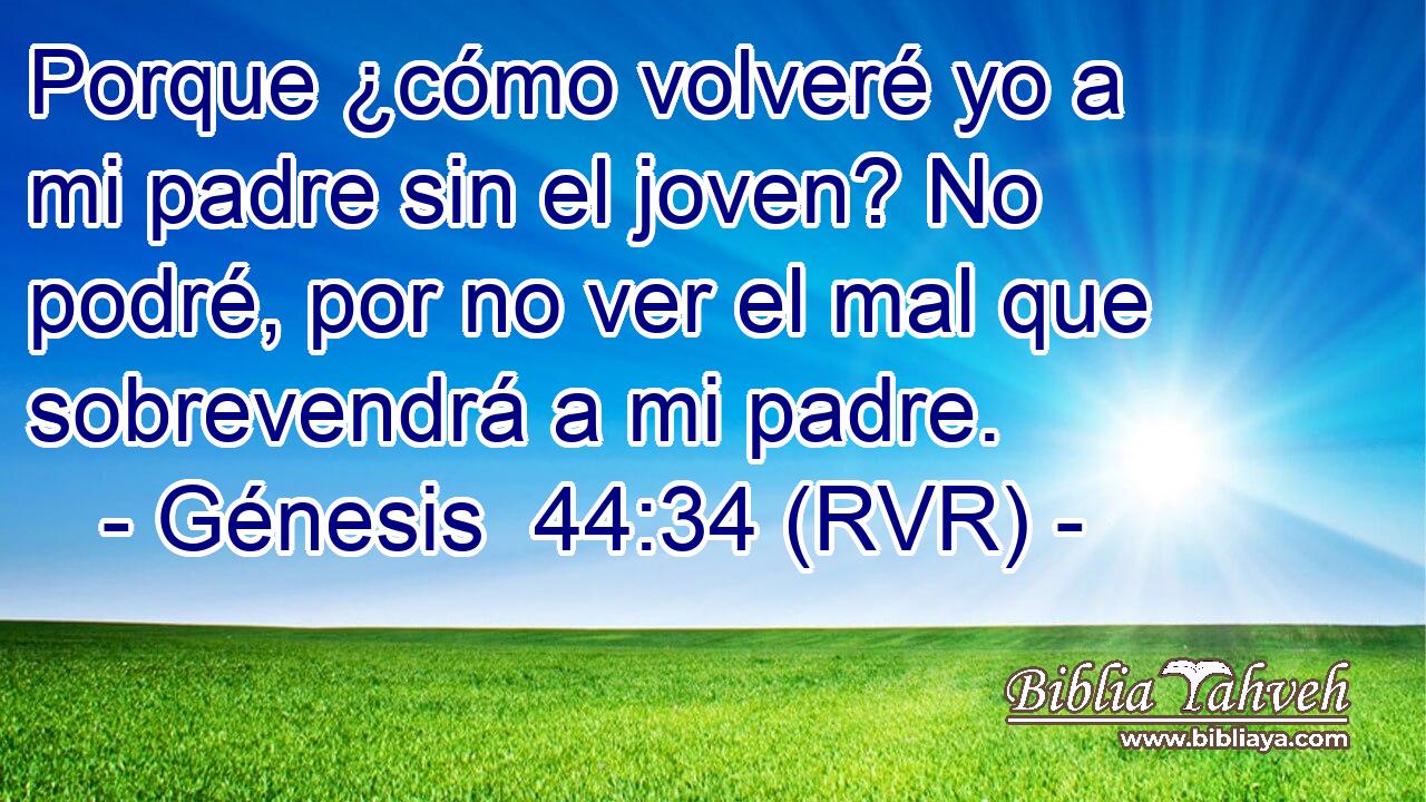 Porque ¿cómo volveré yo a mi padre sin el joven? No podré, por no ver el mal que sobrevendrá a mi padre.