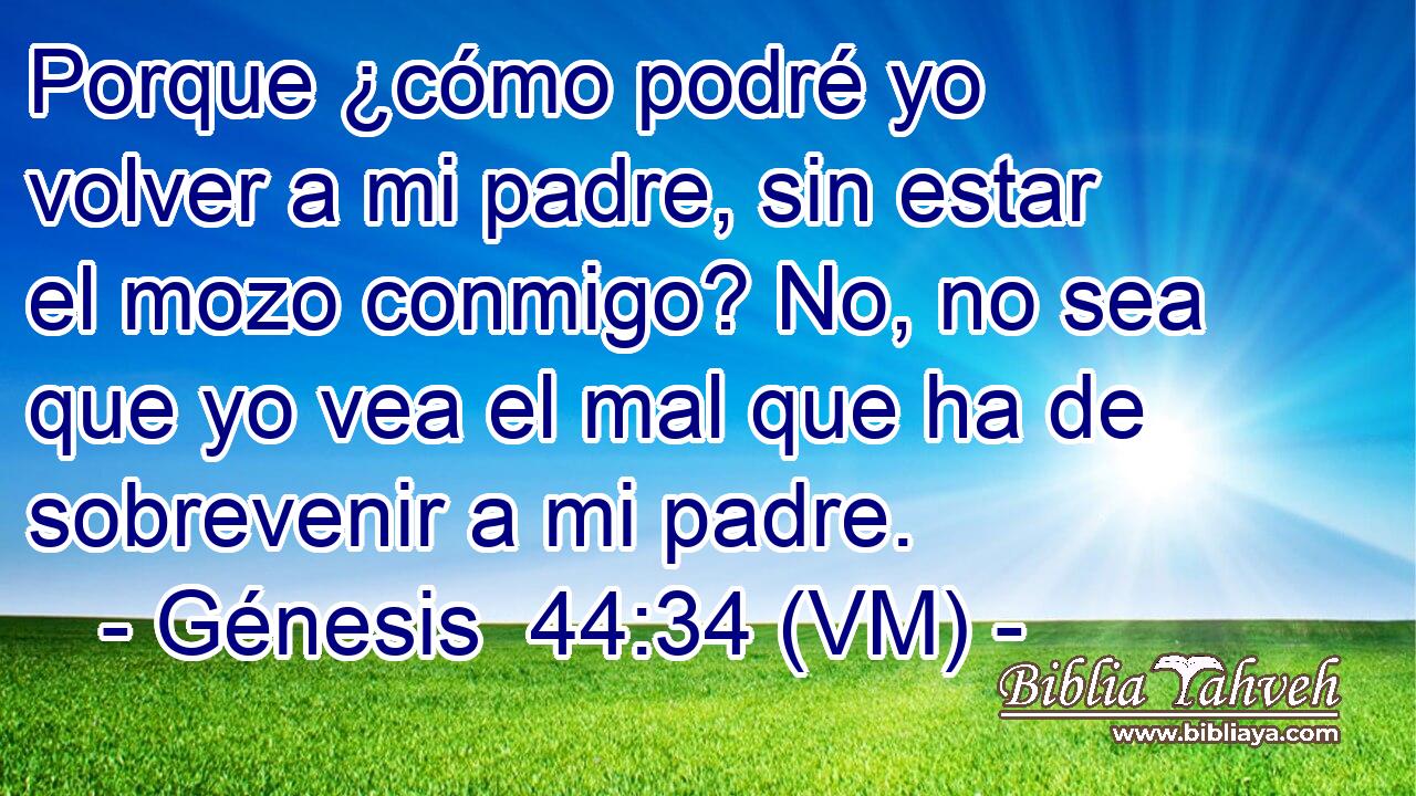  Porque ¿cómo podré yo volver a mi padre, sin estar el mozo conmigo? No, no sea que yo vea el mal que ha de sobrevenir a mi padre. 
