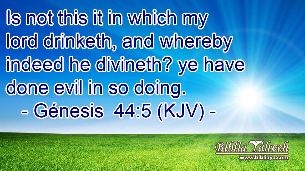 Is not this it in which my lord drinketh, and whereby indeed he divineth? ye have done evil in so doing.
