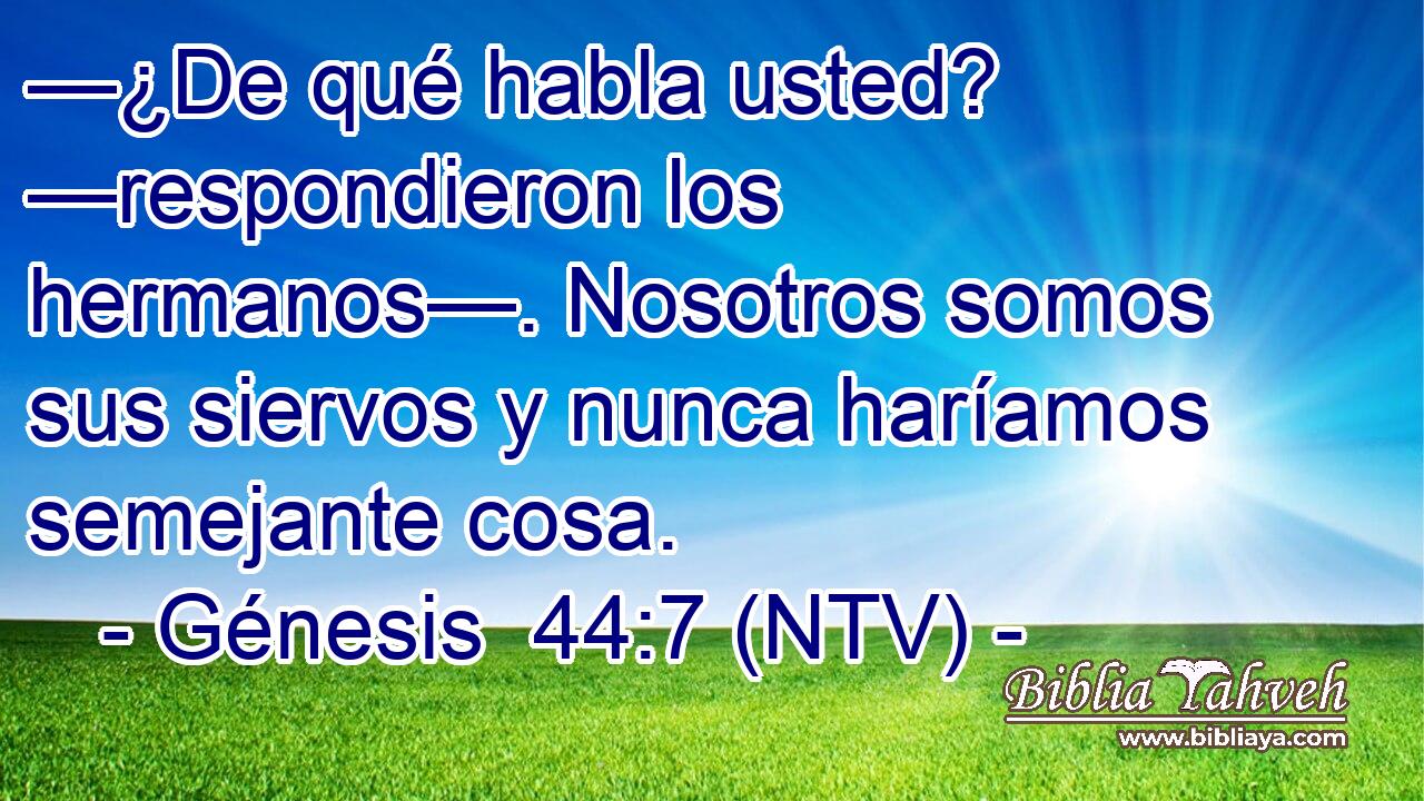 —¿De qué habla usted? —respondieron los hermanos—. Nosotros somos sus siervos y nunca haríamos semejante cosa.