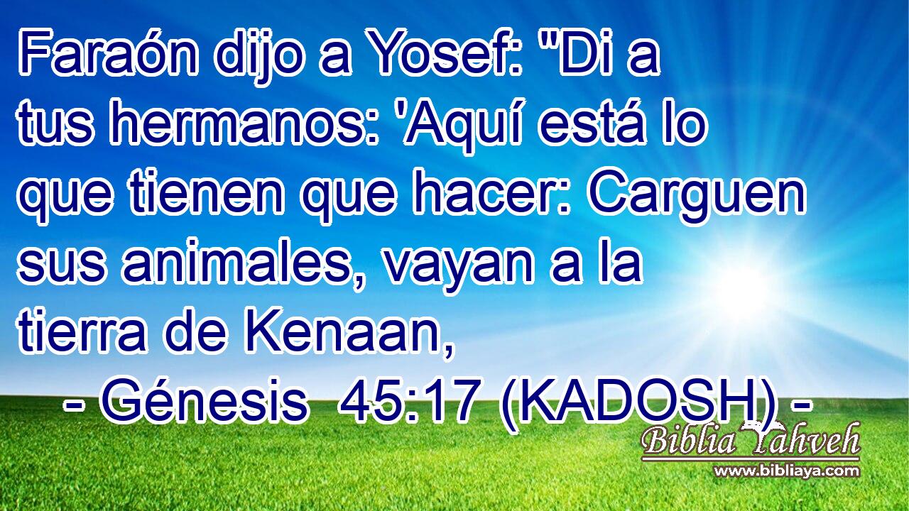  Faraón dijo a Yosef: 