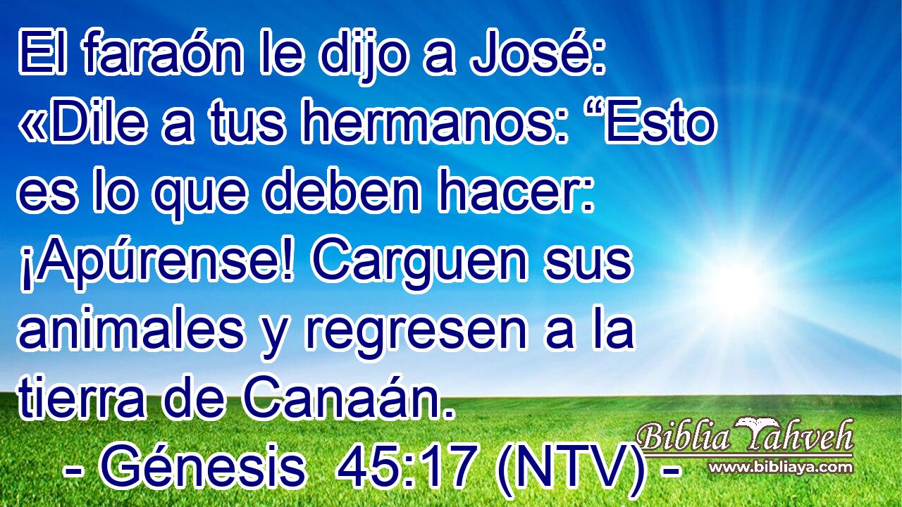 El faraón le dijo a José: «Dile a tus hermanos: “Esto es lo que deben hacer: ¡Apúrense! Carguen sus animales y regresen a la tierra de Canaán.