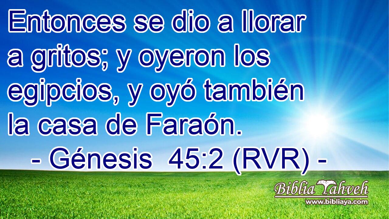 Entonces se dio a llorar a gritos; y oyeron los egipcios, y oyó también la casa de Faraón.
