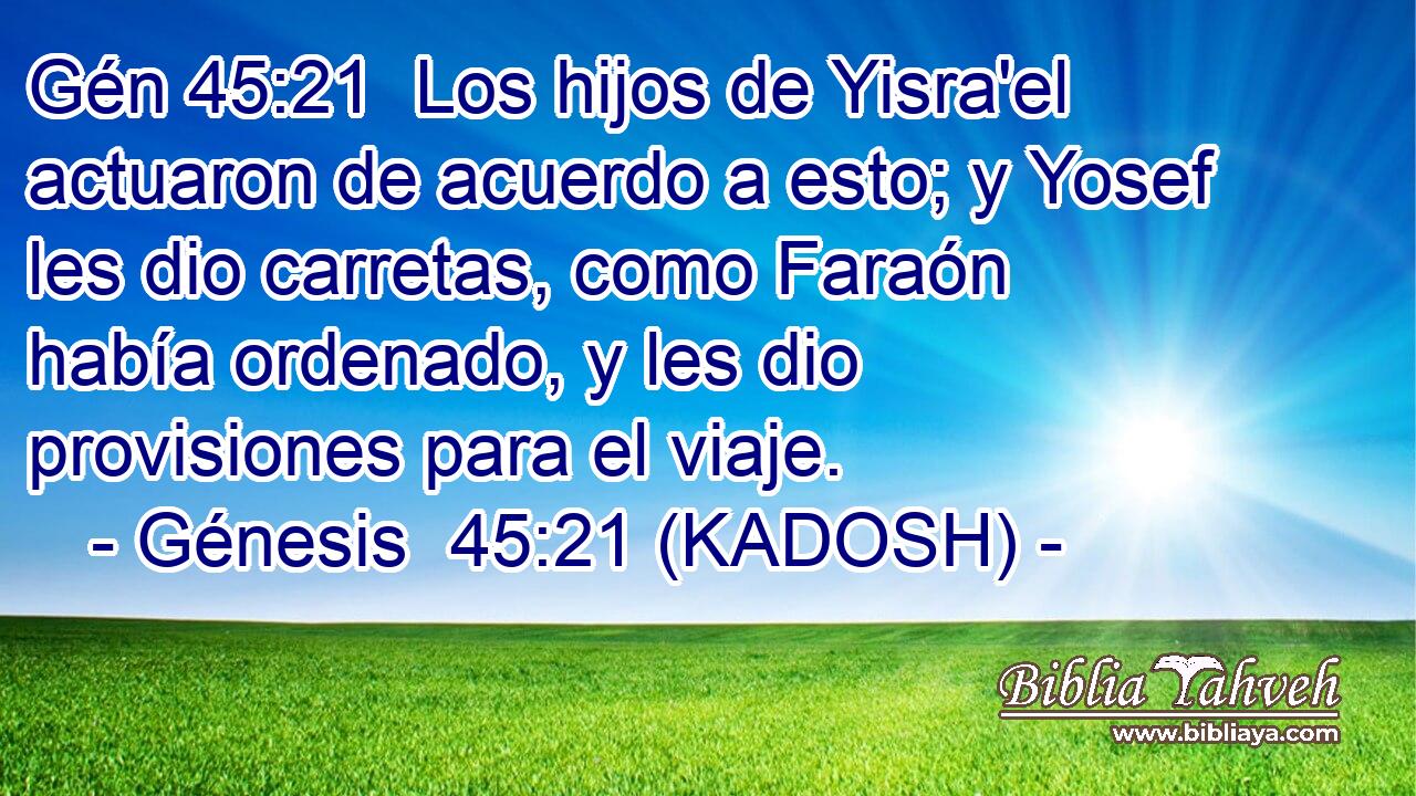  Los hijos de Yisra'el actuaron de acuerdo a esto; y Yosef les dio carretas, como Faraón había ordenado, y les dio provisiones para el viaje. 