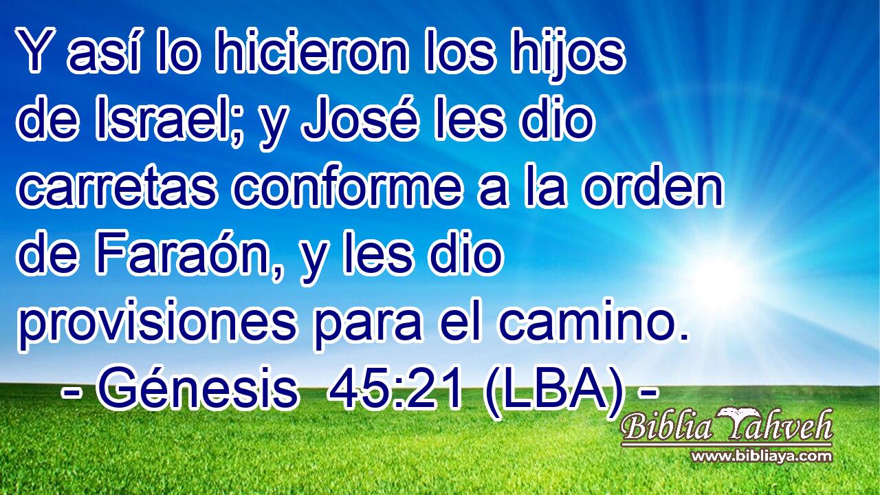 Y así lo hicieron los hijos de Israel; y José les dio carretas conforme a la orden de Faraón, y les dio provisiones para el camino.