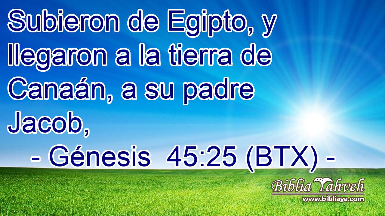 Subieron de Egipto, y llegaron a la tierra de Canaán, a su padre Jacob,