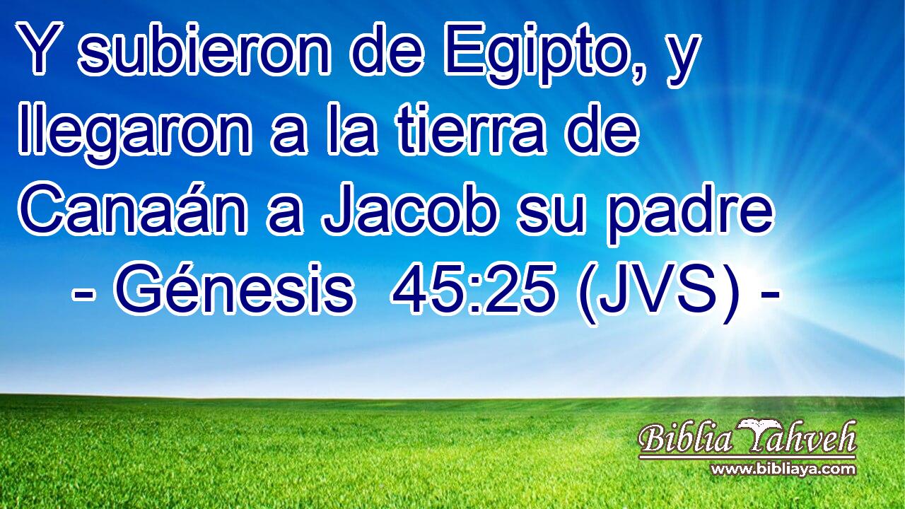 Y subieron de Egipto, y llegaron a la tierra de Canaán a Jacob su padre