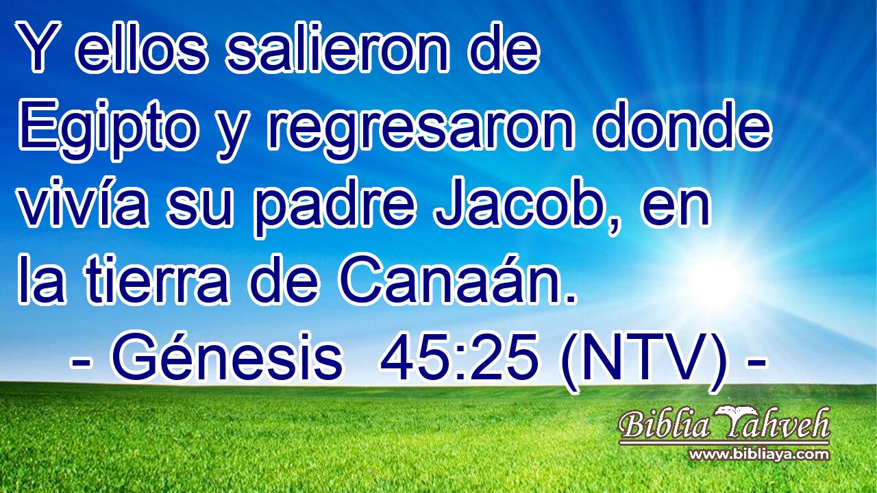 Y ellos salieron de Egipto y regresaron donde vivía su padre Jacob, en la tierra de Canaán.