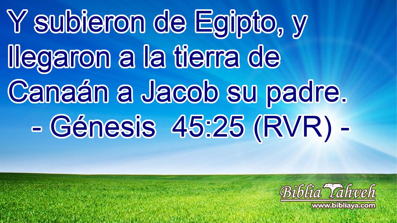 Y subieron de Egipto, y llegaron a la tierra de Canaán a Jacob su padre.