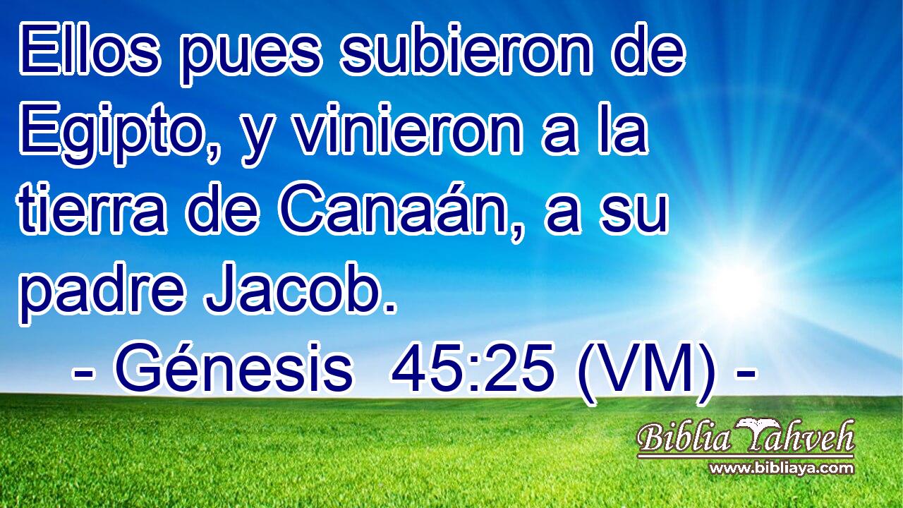  Ellos pues subieron de Egipto, y vinieron a la tierra de Canaán, a su padre Jacob. 