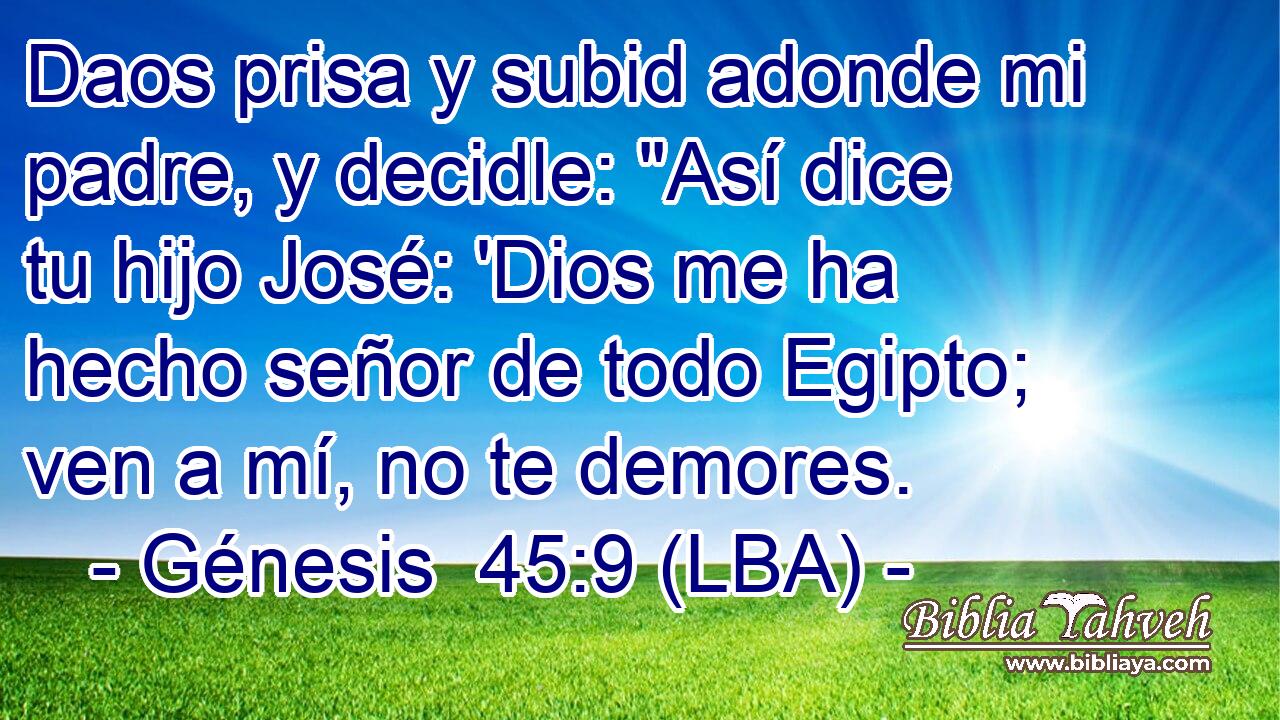 Daos prisa y subid adonde mi padre, y decidle: 