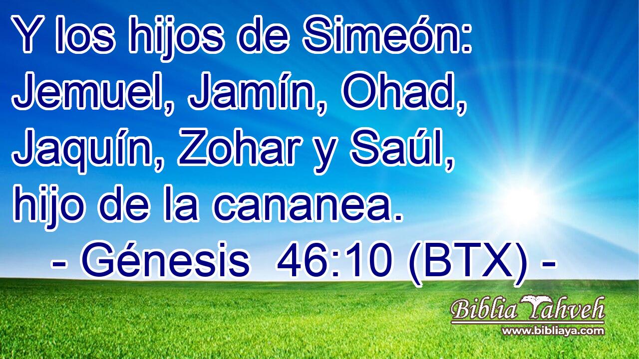 Y los hijos de Simeón: Jemuel, Jamín, Ohad, Jaquín, Zohar y Saúl, hijo de la cananea.