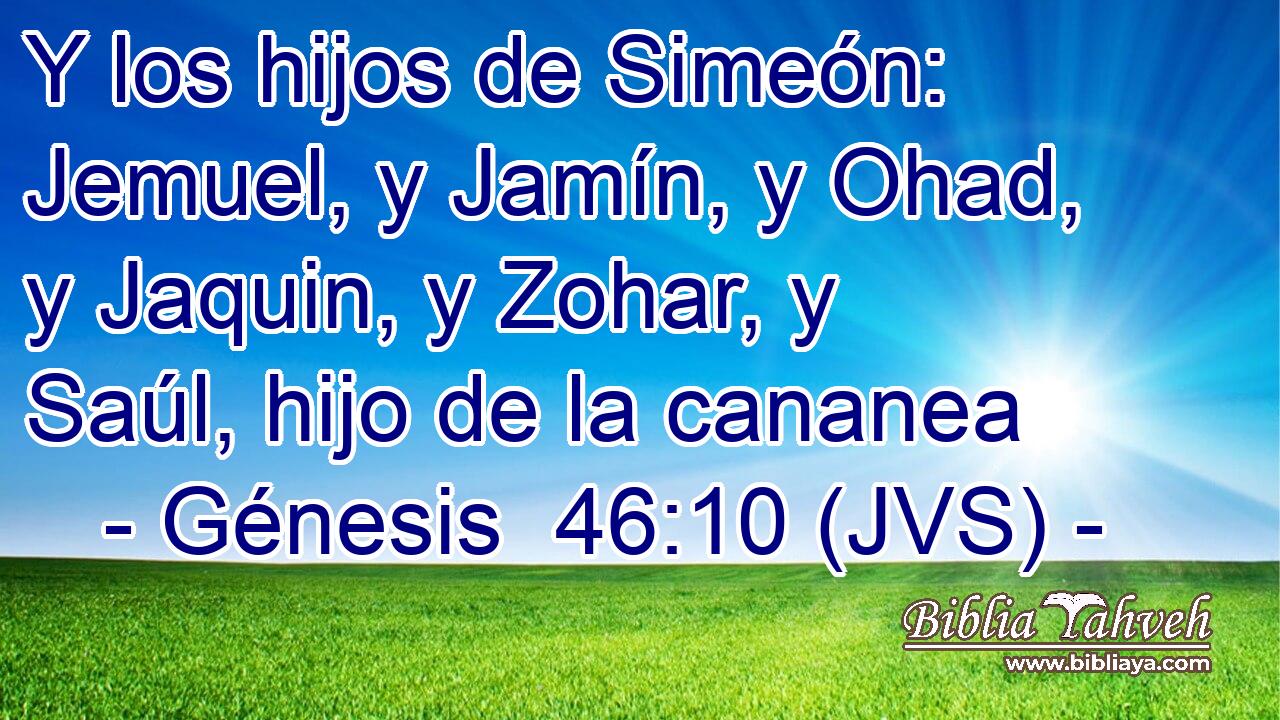 Y los hijos de Simeón: Jemuel, y Jamín, y Ohad, y Jaquin, y Zohar, y Saúl, hijo de la cananea