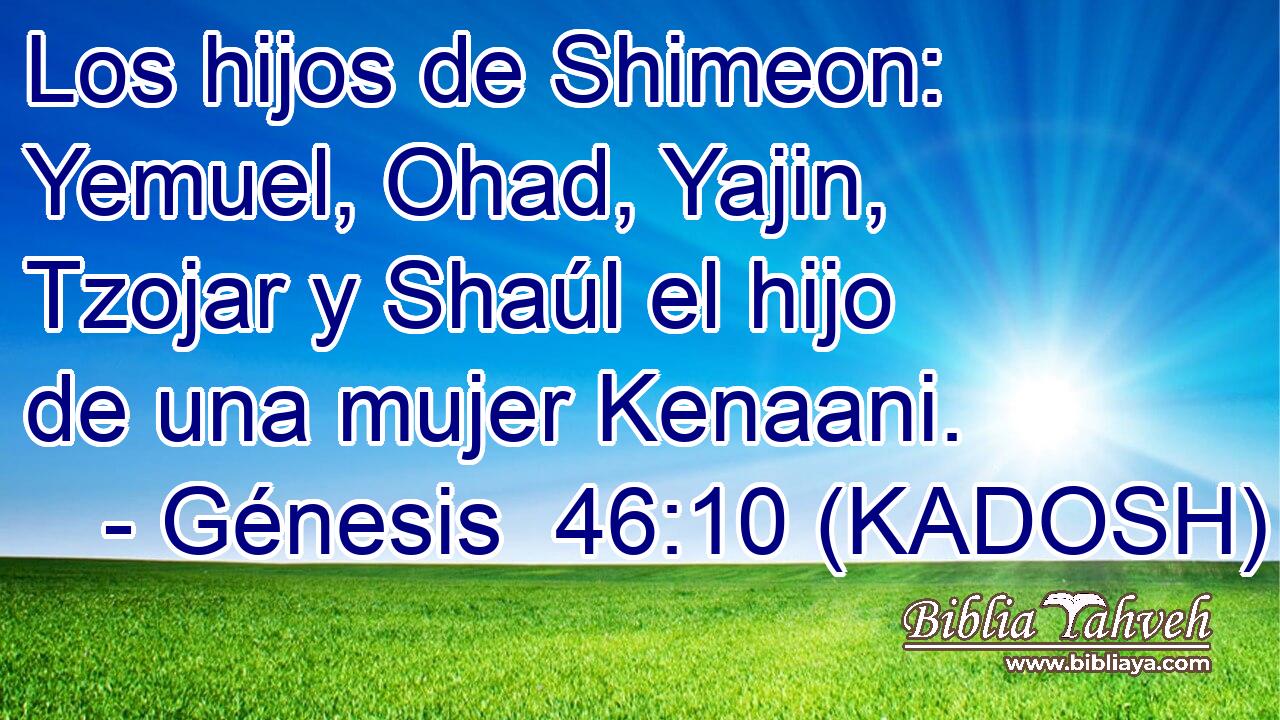  Los hijos de Shimeon: Yemuel, Ohad, Yajin, Tzojar y Shaúl el hijo de una mujer Kenaani. 