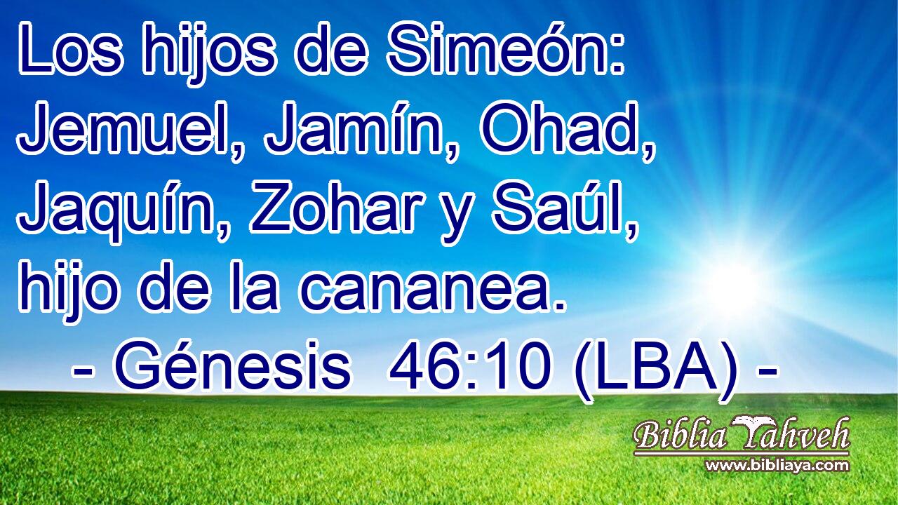 Los hijos de Simeón: Jemuel, Jamín, Ohad, Jaquín, Zohar y Saúl, hijo de la cananea.