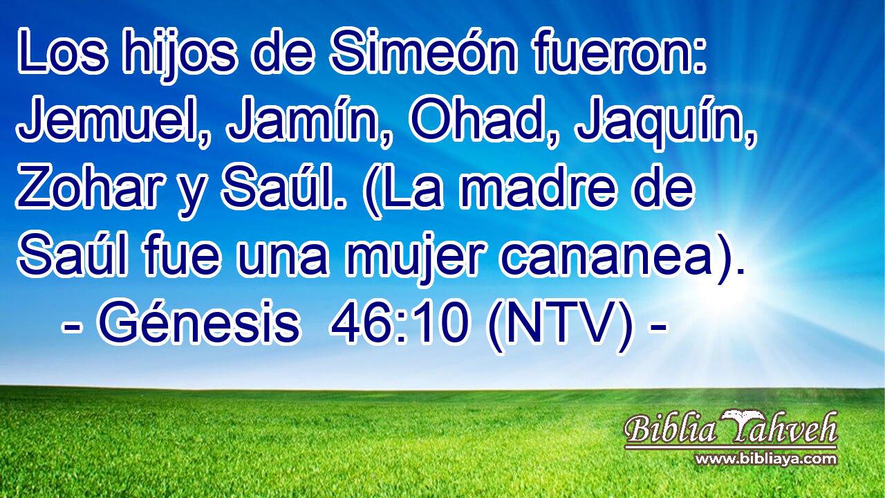 Los hijos de Simeón fueron: Jemuel, Jamín, Ohad, Jaquín, Zohar y Saúl. (La madre de Saúl fue una mujer cananea).