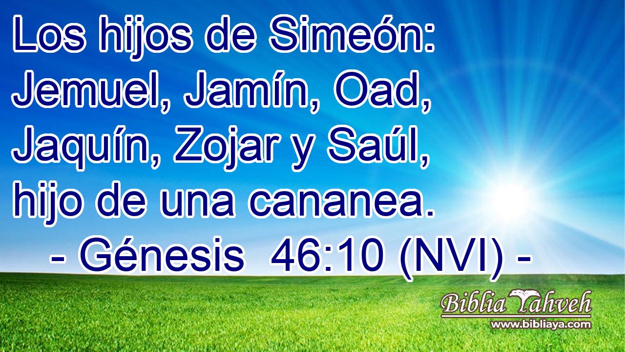  Los hijos de Simeón: Jemuel, Jamín, Oad, Jaquín, Zojar y Saúl, hijo de una cananea. 